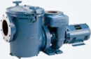 CSP Series™ Commercial Self-Priming Pump